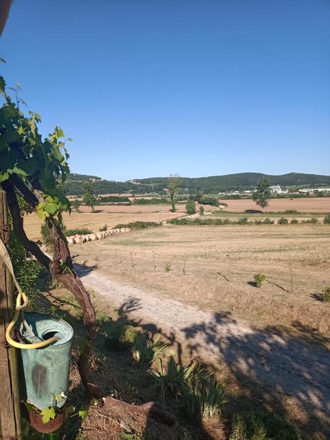 Villa Agriturismo Podere La Selva Serre Di Rapolano Exterior foto