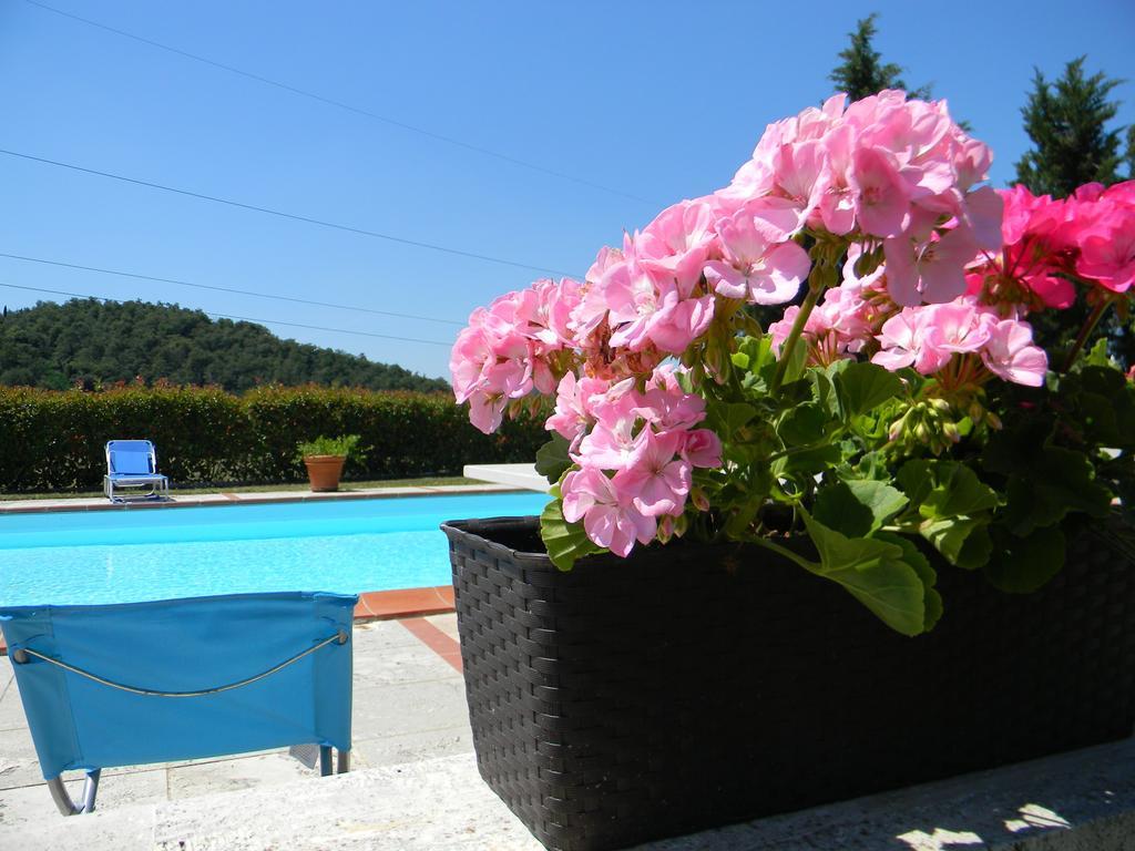 Villa Agriturismo Podere La Selva Serre Di Rapolano Exterior foto
