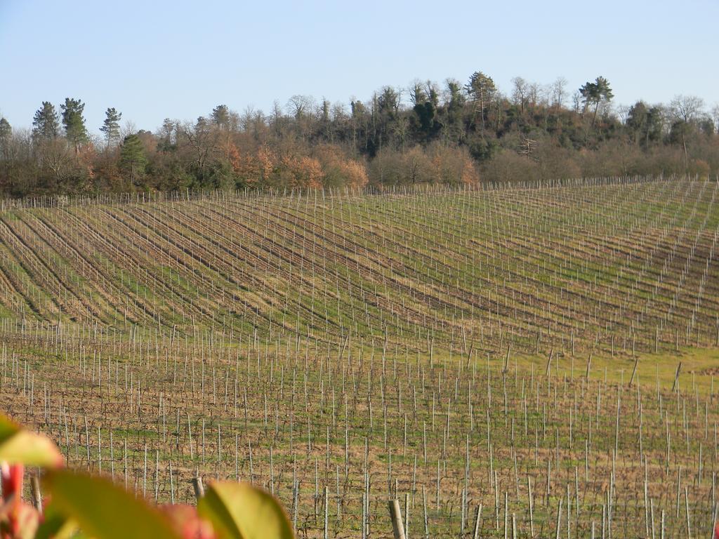 Villa Agriturismo Podere La Selva Serre Di Rapolano Exterior foto