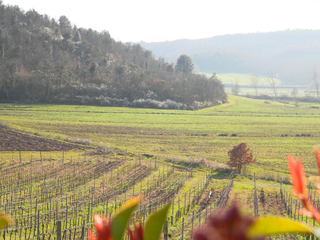 Villa Agriturismo Podere La Selva Serre Di Rapolano Exterior foto