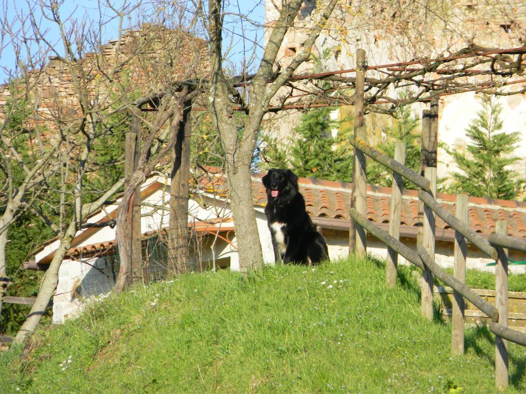 Villa Agriturismo Podere La Selva Serre Di Rapolano Exterior foto
