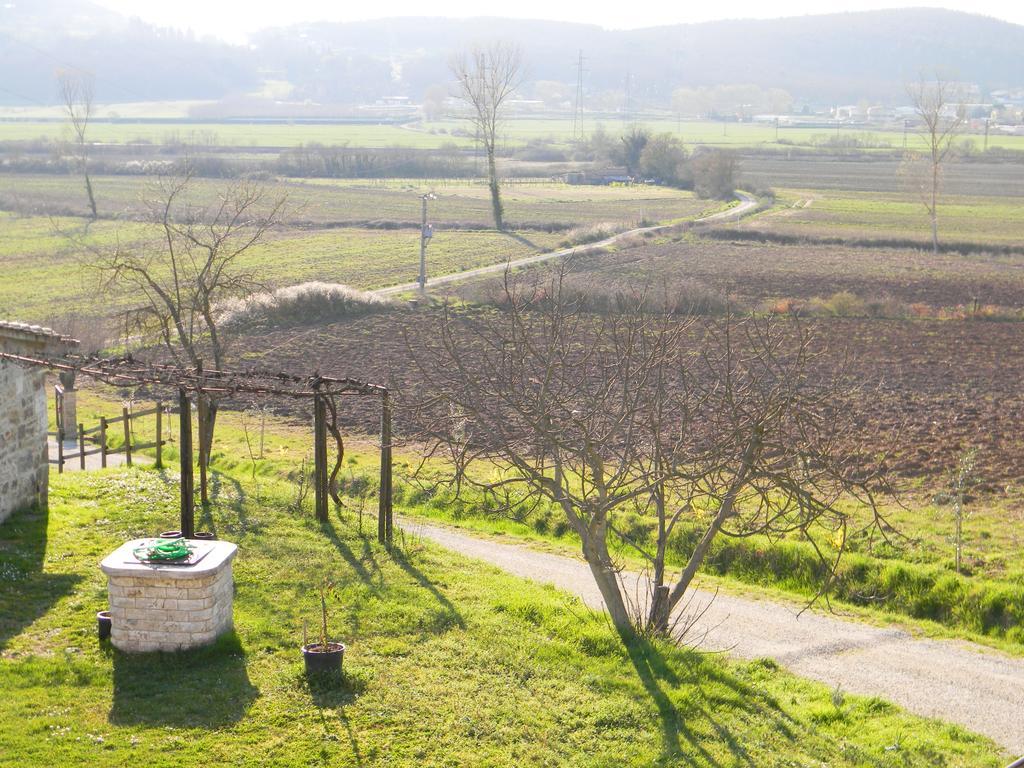 Villa Agriturismo Podere La Selva Serre Di Rapolano Exterior foto