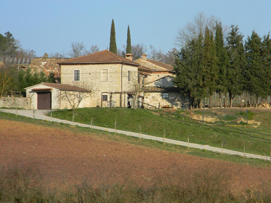 Villa Agriturismo Podere La Selva Serre Di Rapolano Exterior foto