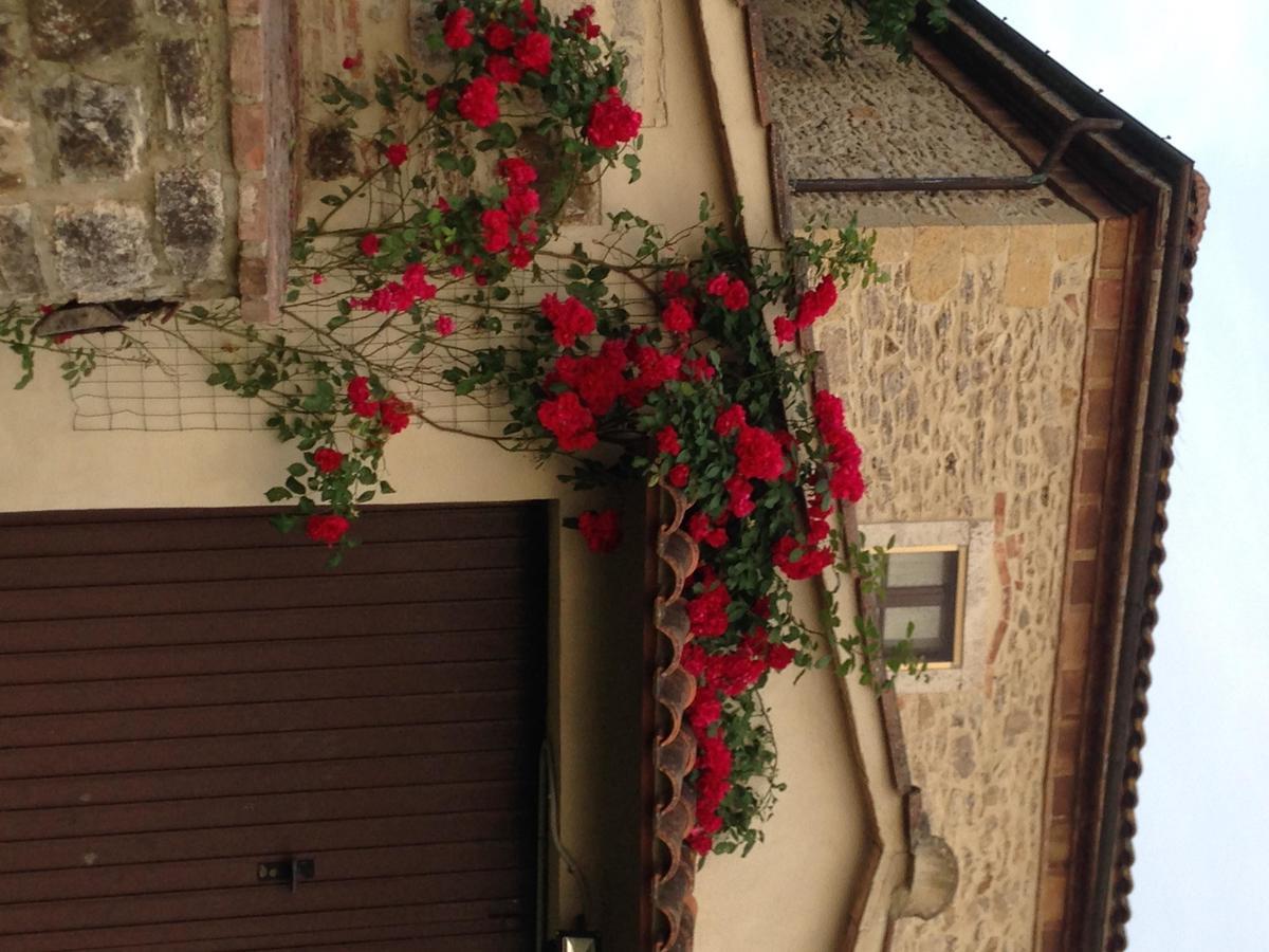 Villa Agriturismo Podere La Selva Serre Di Rapolano Exterior foto